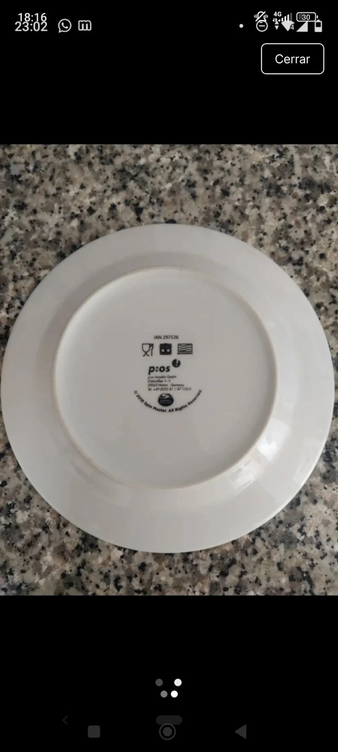 Plato de loza Paw Patrol – photo 2
